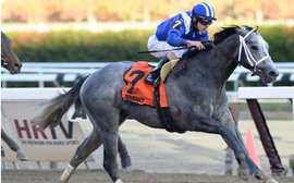 It's not just his connections hoping that Mohaymen becomes a huge star