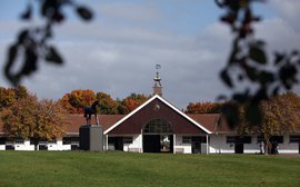 Toronado's arrival boosts resurgent National Stud as it bids to return to former glories