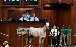 Record-breaking Tapit filly highlights strong renewal of OBS Spring Sale