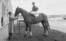 Lightning, camera, action: Phar Lap, the movie