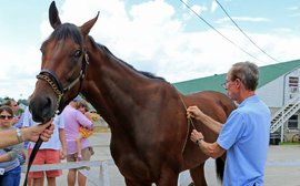 American Pharoah vs Secretariat vs Seattle Slew vs Affirmed: how they actually measure up