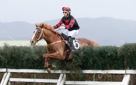 Coaxing the Kiwis to Australia's jumps races