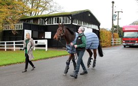 Lanwades looks set for another memorable year as Sea The Moon joins stallion roster