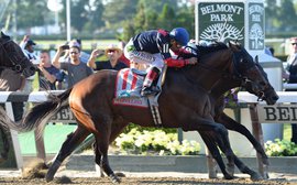 Eternal optimist Anderson hard at work on Derby puzzle