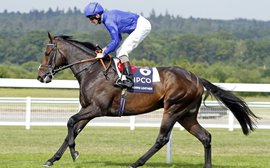 A Japan Cup mission for Jim Bolger's homegrown colt