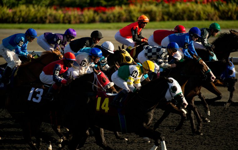 Keeneland picture powerpoint
