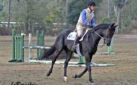 How one stable prepares runners for second careers while still at the track