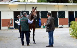 China Horse Club makes the biggest impression at record-breaking Arc Sale