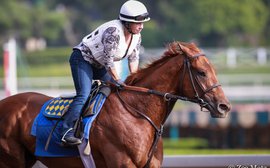 SA Derby could cap big week for Dana Barnes, morning pilot for Baffert's best