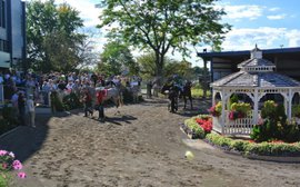 The racetrack with its future balanced on a knife edge