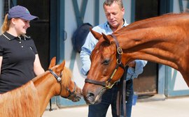 Remembering a fallen star – relive a visit to Funny Cide, still cranky but always adored by fans
