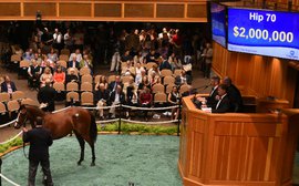 Half-term report: Tapit, Dubawi and Frankel take centre stage as market bodes well for the big autumn sales