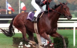 Looking back: G1 Ogden Phipps stirs memories of namesake homebreds