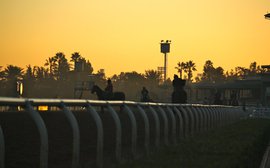 Riding on the edge: A closer look at US exercise rider safety