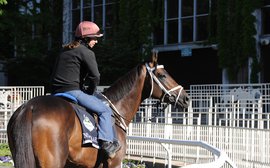 Team de Kock enjoying Belmont adventure with Mubtaahij