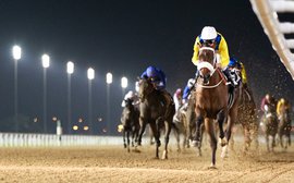 Why Mubtaahij has a real shot to win the KY Derby