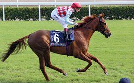 Red Cadeaux: The supreme globetrotting gladiator