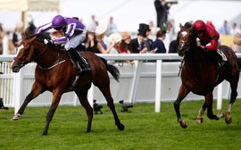 How Ireland's Royal Ascot challenge is going from strength to strength