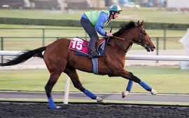 British raider Osborne hoping to toast New York after $1.25M Belmont Derby