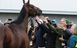 American Pharoah and social media: racing's perfect storm