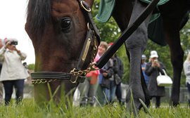 Five hot takes on the Kentucky Derby