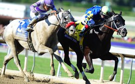 Is the BC Juvenile the kiss of death for a horse's Triple Crown chances?