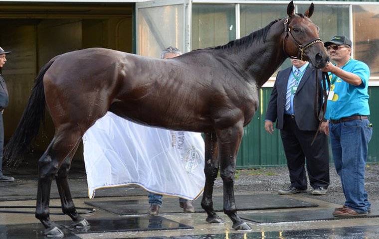 Serena's Song (horse) - American Classic Pedigrees