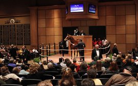 Fasig-Tipton Sales Company Profile