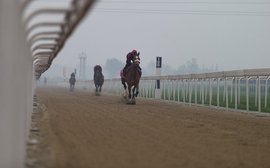 Chengdu Dubai meet may be the start of a quarantine breakthrough