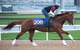 'Blossoming' Chrome just favoured - but confidence in Frosted is so high