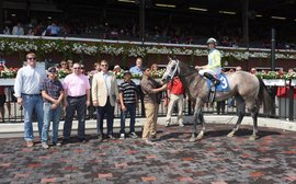 'Weather geek' Schera just can't stop himself buying racehorses