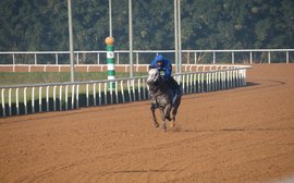 It's all going exactly to plan as Frosted continues to thrive in the desert