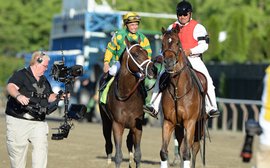 American racing needs to create horseplayers, not fans