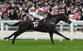 Power-packed stablemates out to be the sprint stars of Royal Ascot