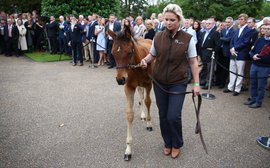 Daring and innovative, Goffs London Sale sets an exciting template