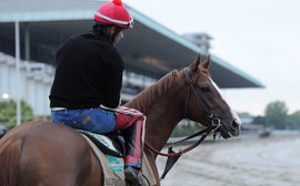 The Belmont stamina clues deep in California Chrome's pedigree