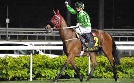 Singapore International Racing Festival puts spotlight on Kranji Sunday