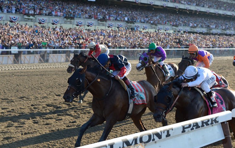 California Chrome Pedigree Chart