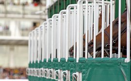 'Problem' horses at the starting gate: How rules vary around the world
