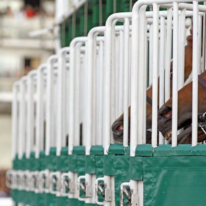 Problem Horses At The Starting Gate How Rules Vary Around The World Topics Starting Gate Slade Power Bob Duncan Quality Road Thoroughbred Racing Commentary Problem Horses At The Starting Gate How Rules Vary Around The World Topics Starting Gate Slade Power Bob Duncan Quality Road Thoroughbred Racing Commentary
