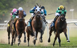 The three racetrack warriors and the rivalry New York has taken to its heart