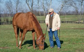 Now Wise Dan is ready for a new job