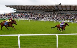 A new world champion could emerge at Leopardstown