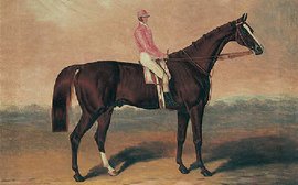 Birdcatcher: the 19th century sire who transformed the reputation of Irish racing