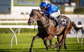 Celebrate Winx’s wonderful career with this special quiz on world racing’s favourite horse