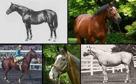 Who’s the daddy? Top ten greatest sires of the last 100 years (part two)
