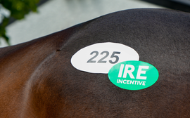 IRE Incentive scheme goes from strength to strength with more than €3.8m awarded in bonuses to owners of Irish-breds