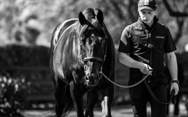 What’s been happening: Shock death of Wootton Bassett, Brian Hernandez injury, Frankie Dettori and more …