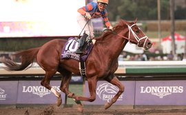 Quality across the board the focus as five exciting new recruits join Spendthrift stallion roster  