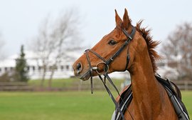 Global Rankings Weekly Awards: Return of Vauban